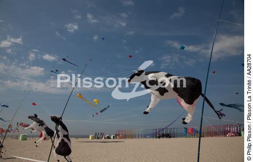 Rencontres Internationales de cerfs-volants à Berck sur Mer - © Philip Plisson / Plisson La Trinité / AA28704 - Nos reportages photos - Sport et loisir