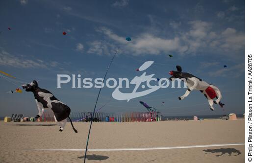 International Meetings of kites in Berck sur Mer [AT] - © Philip Plisson / Plisson La Trinité / AA28705 - Photo Galleries - Berck
