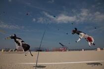 International Meetings of kites in Berck sur Mer [AT] © Philip Plisson / Plisson La Trinité / AA28705 - Photo Galleries - Sport and Leisure