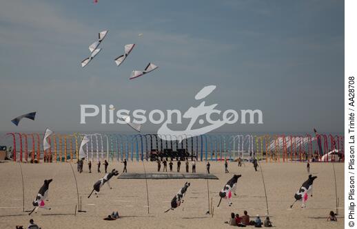 International Meetings of kites in Berck sur Mer [AT] - © Philip Plisson / Plisson La Trinité / AA28708 - Photo Galleries - Town [62]
