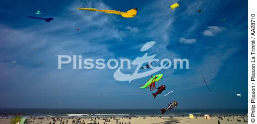 International Meetings of kites in Berck sur Mer [AT] - © Philip Plisson / Plisson La Trinité / AA28710 - Photo Galleries - Nord-Pas-de-Calais