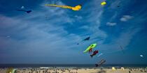 International Meetings of kites in Berck sur Mer [AT] © Philip Plisson / Plisson La Trinité / AA28710 - Photo Galleries - Berck