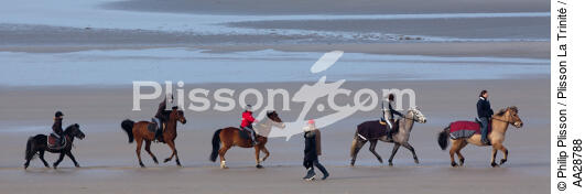 On the beach in Touquet - © Philip Plisson / Plisson La Trinité / AA28788 - Photo Galleries - Horse trekking