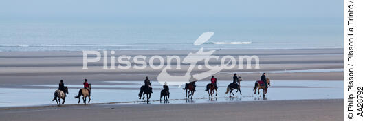On the beach in Touquet - © Philip Plisson / Plisson La Trinité / AA28792 - Photo Galleries - Horse trekking
