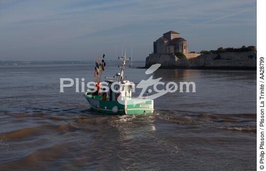Talmont-sur-Gironde - © Philip Plisson / Plisson La Trinité / AA28799 - Nos reportages photos - Bateau de pêche