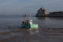 Talmont-sur-Gironde © Philip Plisson / Plisson La Trinité / AA28799 - Nos reportages photos - Charente Maritime