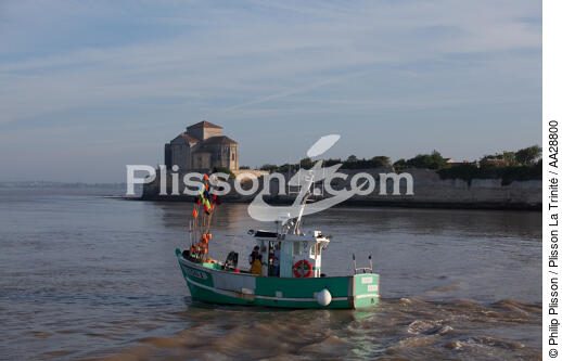 Talmont-sur-Gironde - © Philip Plisson / Plisson La Trinité / AA28800 - Nos reportages photos - Bateau de pêche