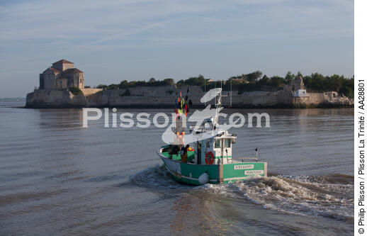 Talmont-sur-Gironde - © Philip Plisson / Plisson La Trinité / AA28801 - Nos reportages photos - Bateau de pêche