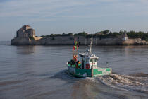Talmont-sur-Gironde © Philip Plisson / Plisson La Trinité / AA28801 - Photo Galleries - Fishing vessel