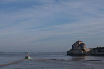 Talmont-sur-Gironde © Philip Plisson / Plisson La Trinité / AA28803 - Photo Galleries - Fishing vessel