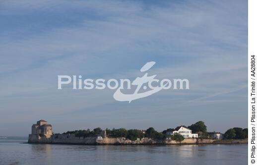 Talmont-sur-Gironde - © Philip Plisson / Plisson La Trinité / AA28804 - Photo Galleries - Framing
