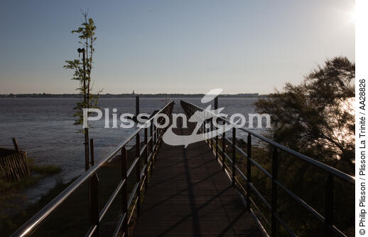 Patiras island - © Philip Plisson / Plisson La Trinité / AA28826 - Photo Galleries - Elements of boat