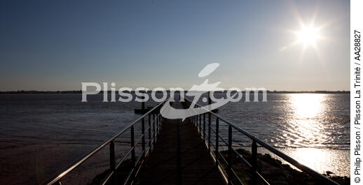 Ile de Patiras - © Philip Plisson / Plisson La Trinité / AA28827 - Nos reportages photos - Elément d'un bateau