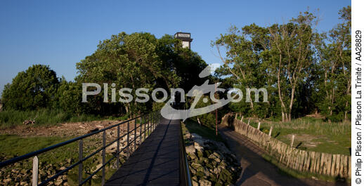 Patiras island - © Philip Plisson / Plisson La Trinité / AA28829 - Photo Galleries - Lighthouse [33]