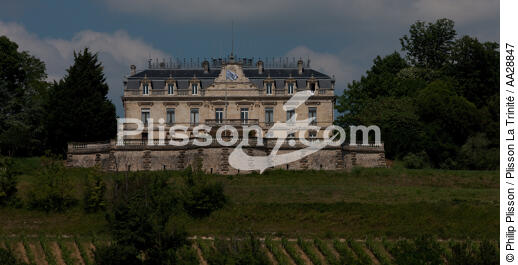 Bayon-sur-Gironde - © Philip Plisson / Plisson La Trinité / AA28847 - Nos reportages photos - Château