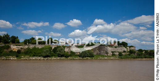 Blaye - © Philip Plisson / Plisson La Trinité / AA28863 - Nos reportages photos - Monument historique