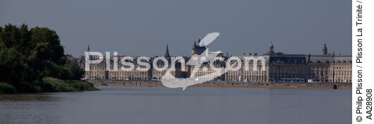 Bordeaux - © Philip Plisson / Plisson La Trinité / AA28908 - Nos reportages photos - Philip Plisson