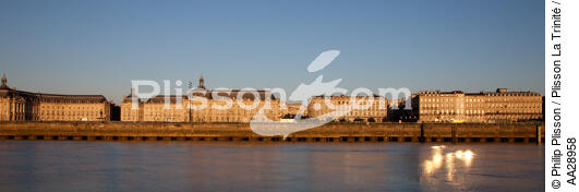 Bordeaux - © Philip Plisson / Plisson La Trinité / AA28958 - Nos reportages photos - Astre