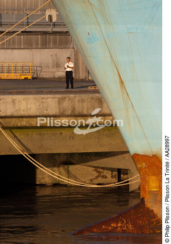Port of Bordeaux,Bassens terminal - © Philip Plisson / Plisson La Trinité / AA28997 - Photo Galleries - Stem