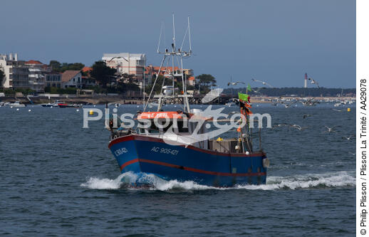 Arcachon - © Philip Plisson / Plisson La Trinité / AA29078 - Nos reportages photos - Bateau de pêche