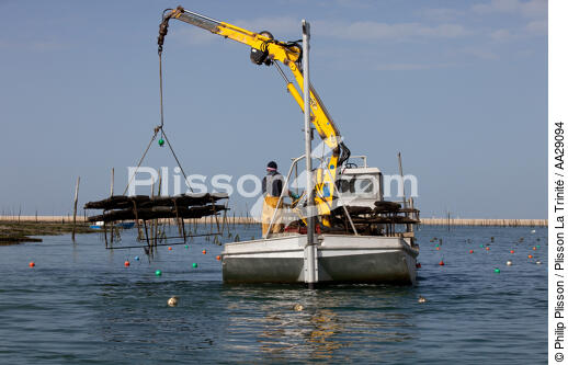 The Arguin sand banc - © Philip Plisson / Plisson La Trinité / AA29094 - Photo Galleries - Lighter used by oyster farmers
