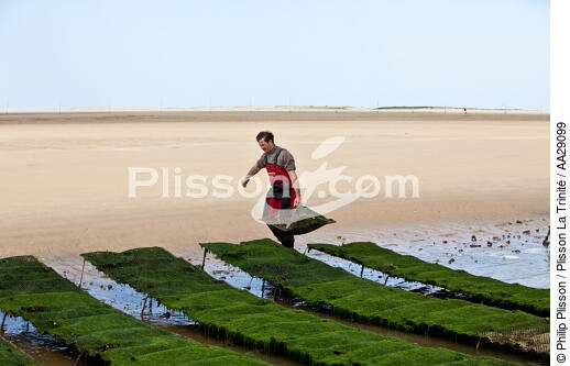 The Arguin sand banc - © Philip Plisson / Plisson La Trinité / AA29099 - Photo Galleries - Gironde