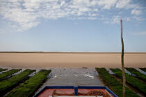 The Arguin sand banc © Philip Plisson / Plisson La Trinité / AA29101 - Photo Galleries - From Soulac to Capbreton