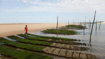 The Arguin sand banc © Philip Plisson / Plisson La Trinité / AA29103 - Photo Galleries - Gironde