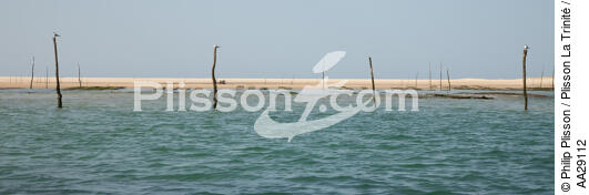 The Arguin sand banc - © Philip Plisson / Plisson La Trinité / AA29112 - Photo Galleries - Oyster farming