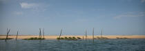 The Arguin sand banc © Philip Plisson / Plisson La Trinité / AA29113 - Photo Galleries - Site of interest [33]