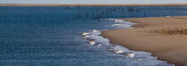 The Arguin sand banc © Philip Plisson / Plisson La Trinité / AA29128 - Photo Galleries - Aquitaine
