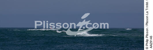 Bassin d'Arcachon - © Philip Plisson / Plisson La Trinité / AA29146 - Nos reportages photos - Arcachon [Bassin d']