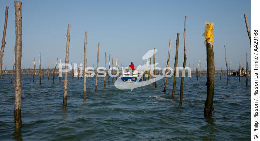 Bassin d'Arcachon - © Philip Plisson / Plisson La Trinité / AA29168 - Nos reportages photos - Ponton ostréicole