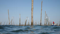 Basin of arcachon © Philip Plisson / Plisson La Trinité / AA29170 - Photo Galleries - Shellfish farming