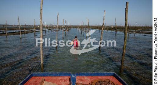 Bassin d'Arcachon - © Philip Plisson / Plisson La Trinité / AA29172 - Nos reportages photos - Ostréiculteur