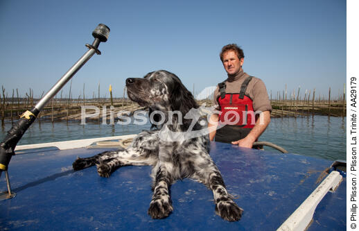 Basin of arcachon - © Philip Plisson / Plisson La Trinité / AA29179 - Photo Galleries - Lighter used by oyster farmers