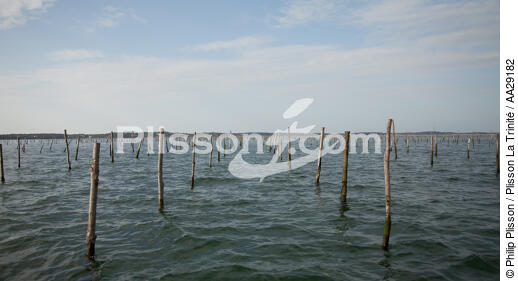 Bassin d'Arcachon - © Philip Plisson / Plisson La Trinité / AA29182 - Nos reportages photos - Philip Plisson