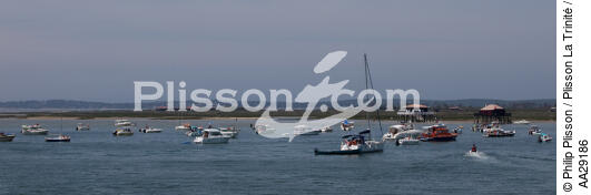 Bassin d'Arcachon - © Philip Plisson / Plisson La Trinité / AA29186 - Nos reportages photos - Ile [33]