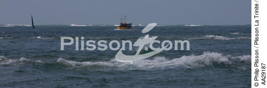 Bassin d'Arcachon - © Philip Plisson / Plisson La Trinité / AA29187 - Nos reportages photos - Chenal