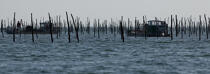 Bassin d'Arcachon © Philip Plisson / Plisson La Trinité / AA29189 - Nos reportages photos - Conchyliculture