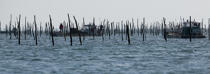 Bassin d'Arcachon © Philip Plisson / Plisson La Trinité / AA29190 - Nos reportages photos - Ponton ostréicole