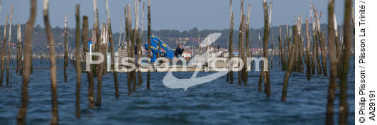 Basin of arcachon - © Philip Plisson / Plisson La Trinité / AA29191 - Photo Galleries - Lighter used by oyster farmers