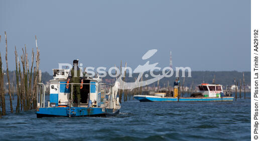 Basin of arcachon - © Philip Plisson / Plisson La Trinité / AA29192 - Photo Galleries - Lighter used by oyster farmers