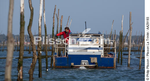 Bassin d'Arcachon - © Philip Plisson / Plisson La Trinité / AA29193 - Nos reportages photos - Ponton ostréicole