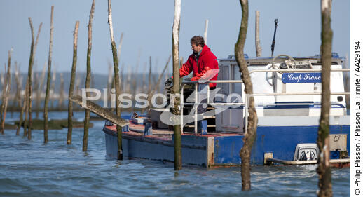 Bassin d'Arcachon - © Philip Plisson / Plisson La Trinité / AA29194 - Nos reportages photos - Ponton ostréicole