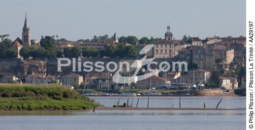 Bourg - © Philip Plisson / Plisson La Trinité / AA29197 - Photo Galleries - River