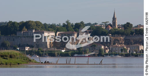 Bourg - © Philip Plisson / Plisson La Trinité / AA29198 - Photo Galleries - From Royan to Bordeaux