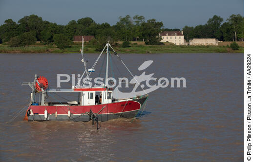 Cussac-Fort-Médoc - © Philip Plisson / Plisson La Trinité / AA29224 - Photo Galleries - Fishing vessel