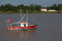 Cussac-Fort-Médoc © Philip Plisson / Plisson La Trinité / AA29224 - Photo Galleries - Fishing vessel