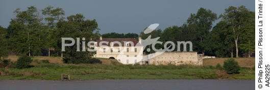 Cussac-Fort-Médoc - © Philip Plisson / Plisson La Trinité / AA29225 - Nos reportages photos - Couleur